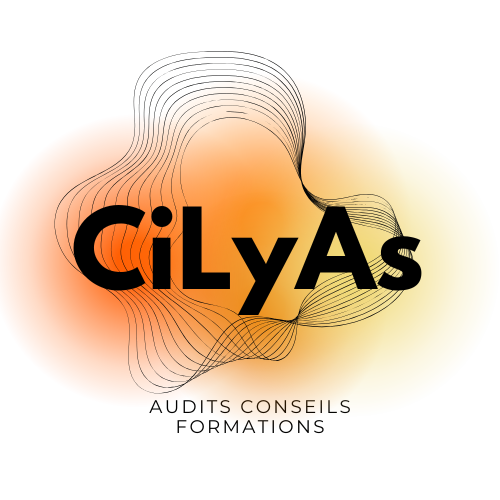 Solutions Conseil et Audit